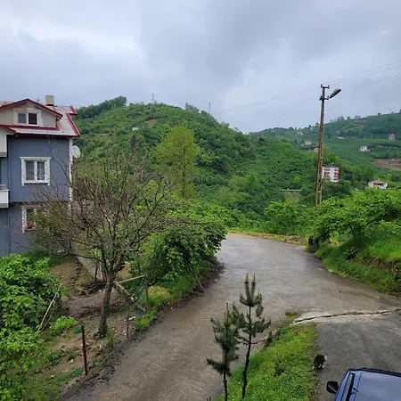 Appart hôtel Meyra *
